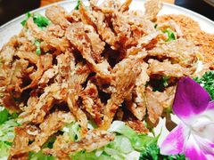 -觅山云南菜(泊富ICITY店)