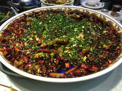 -新概念来凤鱼(璧山店)
