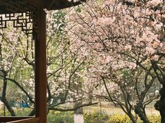 -堤角公园