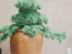 -全季酒店（上海南站徐汇万科中心店）(原冠生园路店)