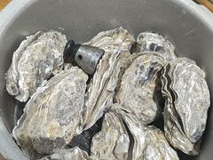 -蚝英雄·自助烤蚝(高新店)