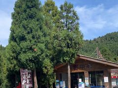 -武陵山森林公园