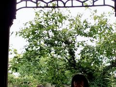 -白马涧龙池景区