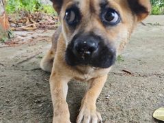 -中国工商银行(上海市淮海中路第二支行)