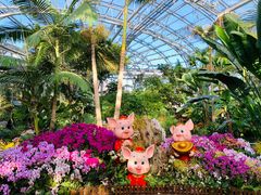 -北京植物园-展览温室