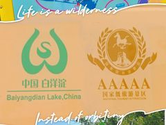 -白洋淀景区
