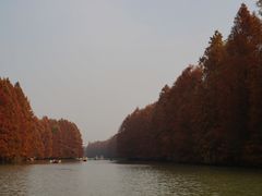 -上海海湾国家森林公园