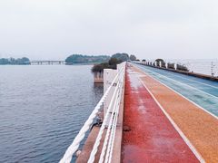 -贡湖湾湿地公园