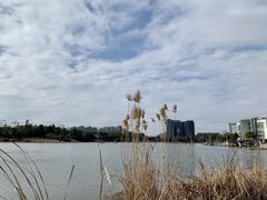 -美兰湖景区