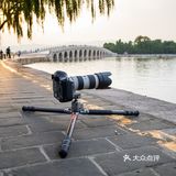 用了便捷稳固的劲捷海岳C83三脚架,轻松Get理想大片