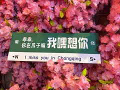 -南宋御街