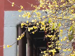 -钱王祠