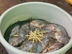 -杨合林啊兰烤鱼