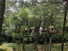 -梦幻奥陶纪景区