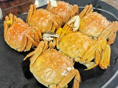 -海岛八号龙虾烧烤田鸡(蓝天路总店)