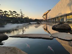 -罗红摄影艺术馆