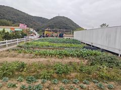 -宁波九龙湖开元度假村