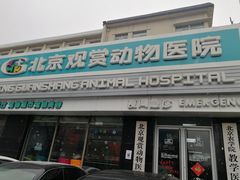 -北京观赏动物医院·24小时大型综合·猫专科·异宠专科