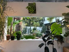 -自由生长植物工作室(深港花卉中心店)