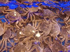 -澜悦港海鲜体验主题餐厅