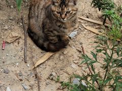 -终南山南五台景区