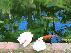 -三里河公园