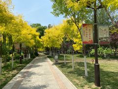 -南翠屏公园