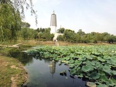 -舍利塔滩地公园-无垢净光舍利塔