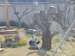 -无锡动物园·太湖欢乐园