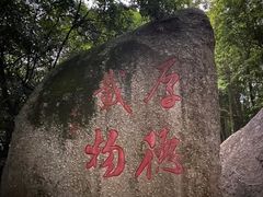 -阳台山森林公园