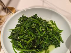 皇帝菜-阿露佳·安吉菜