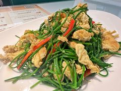 -新疆兵团食府清真(马连道店)