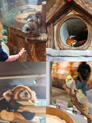 -Zoolung Zoolung动物主题公园(海信广场店)