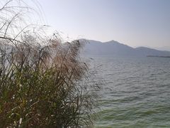 -西昌邛海湿地
