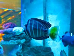 -碧中海汤泉汗蒸酒店