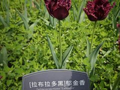 -国家植物园