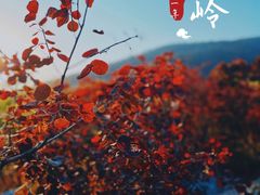 -周口店坡峰岭风景区