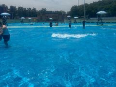 -上海玛雅海滩水公园