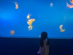 -太平洋海底世界