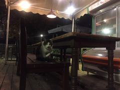 -有才叔的小馆(招商依云曲江店)