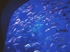 -成都浩海立方海洋公园