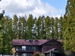 -黄海国家森林公园