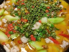 -三猫黑鱼花(南大店)