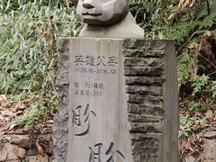 -都江堰中华大熊猫苑