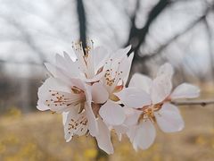 -国家植物园