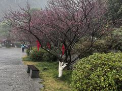 -常德桃花源景区