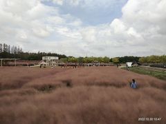 -嘉北郊野公园