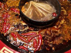 -蜀辣居鲜货老火锅(红牌楼店)