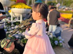 -东南花都花博园