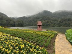 -广州市石门国家森林公园